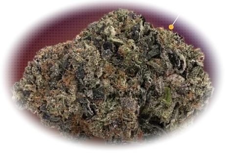 LA Kush
Cake